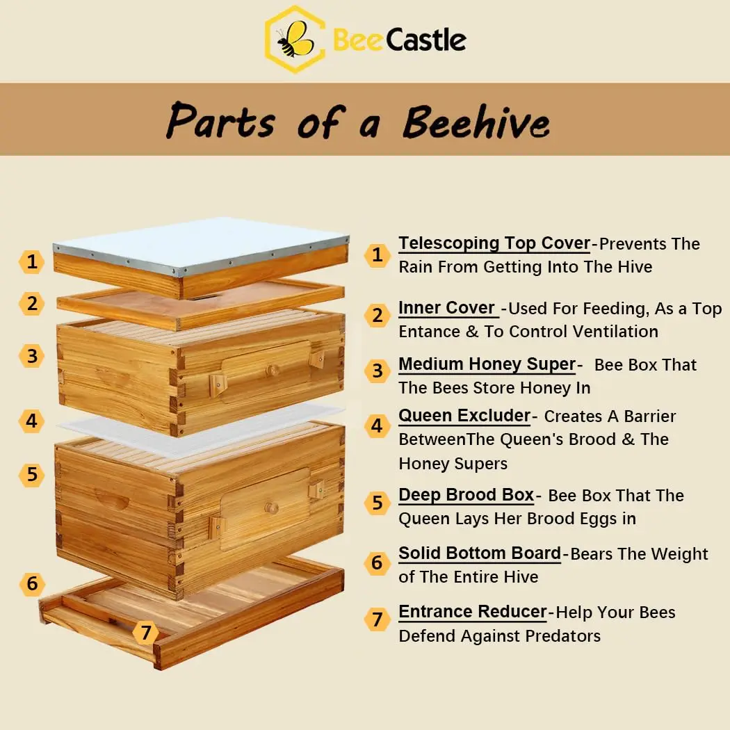 Free ShippingCastle 10-Fe Stroth Hive, Swaxed Coated Hive Starter Kit For Keng Beginners With Hiv And Waxed Foundation (1 Deep H