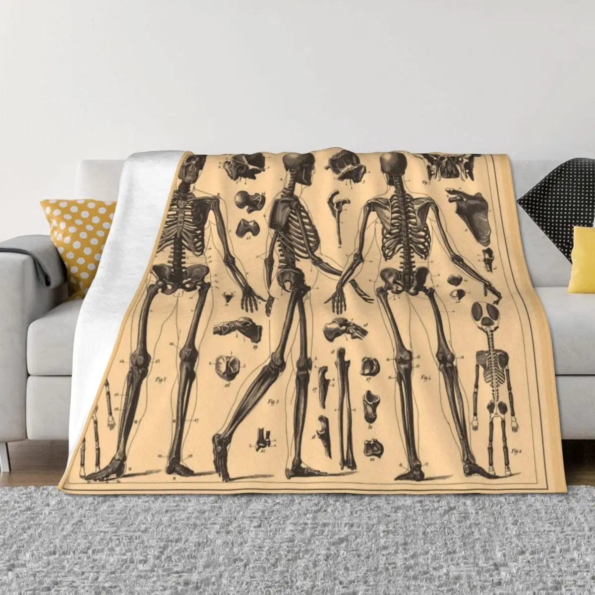 

Vintage Human Skeleton Anatomy Diagram (1907) Throw Blanket Sofas Polar anime Thins Blankets