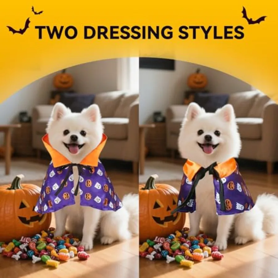 Costumi di Halloween per gatti di zucca Divertenti costumi di zucca per cuccioli di mantello cosplay con corda