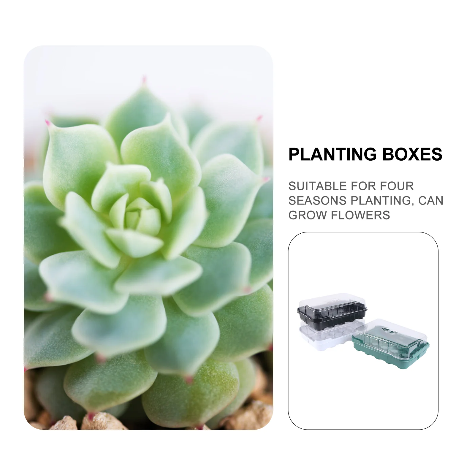 

3 Sets 20 Grids Seedling Trays Planting Boxes Transparent Lid Germination Stackable Nursery Growing Trays Plant