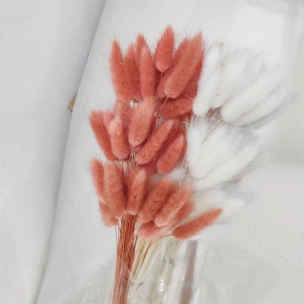 Lagurus Bunny Tails Artificial Dried Flowers,Natural Pampas Grass Decor Wedding Bouquet,Rabbit Tails Plant ,Home Cake Fall Decor