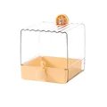 Orange Without Box