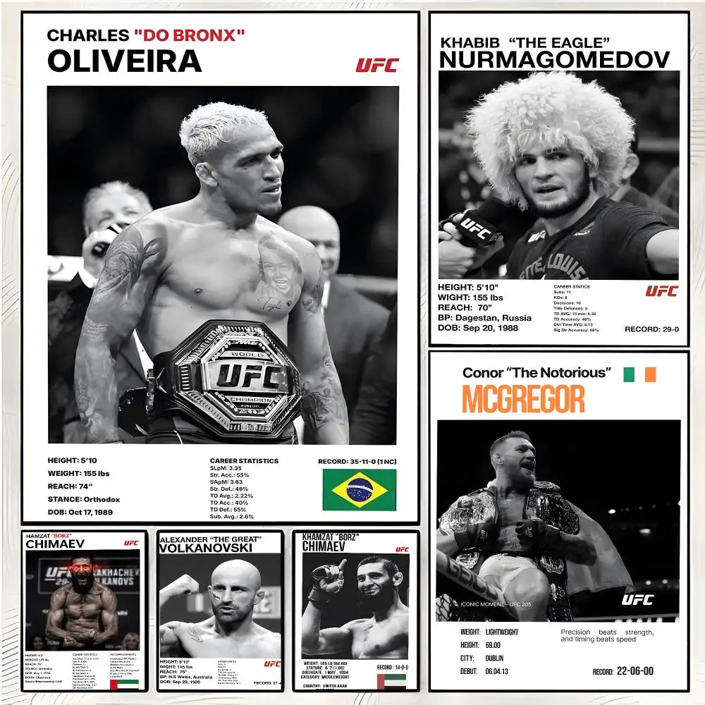 UFC Boxing Fighting Star Poster Superior Home Space  Indoor Decorative Art & Home Decor
