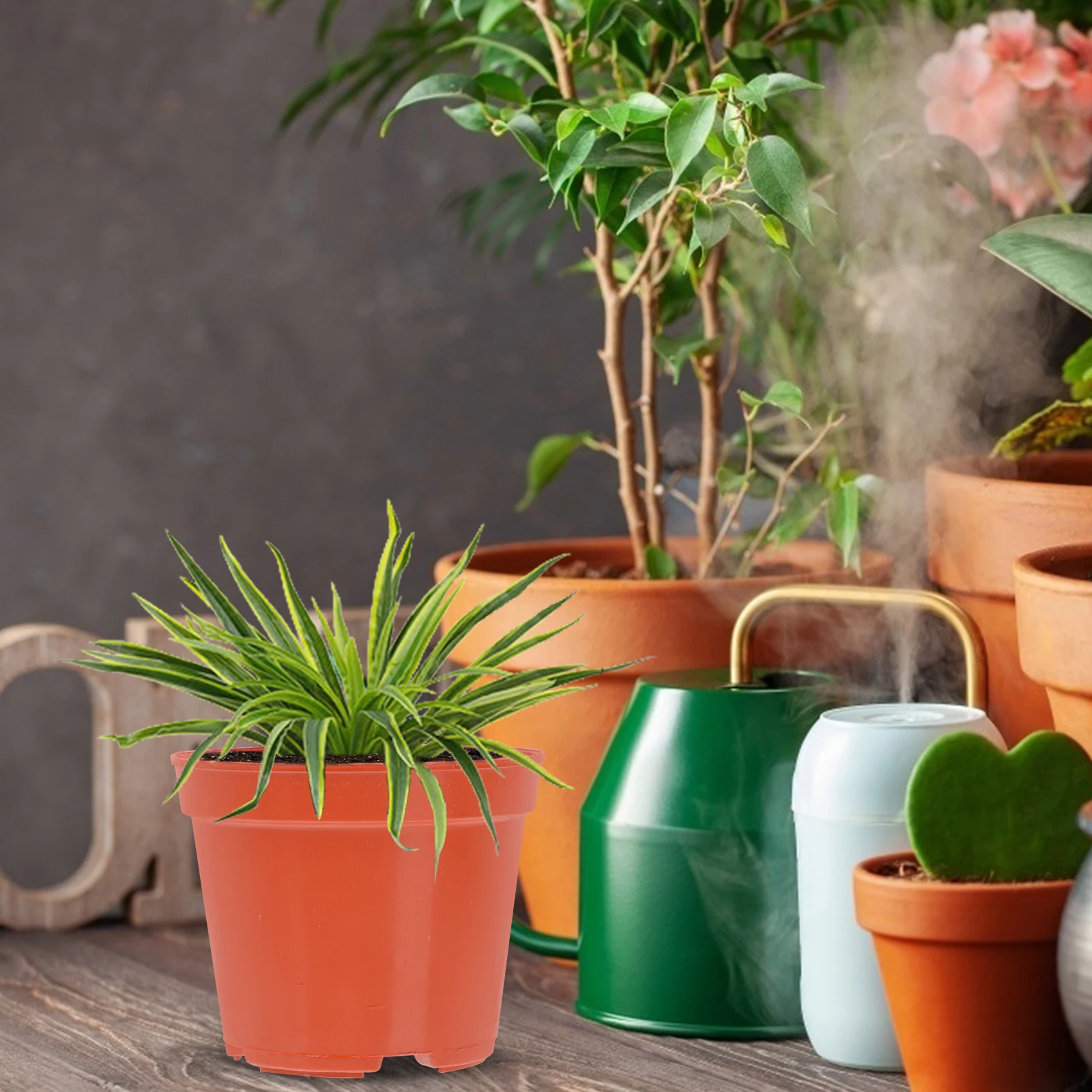 

30 Pcs Seedling Nutrition Cup Plants Flower Pot PP Round Planter Nursery Plastic Lightweight Hollow Bottom Easy Cleaning