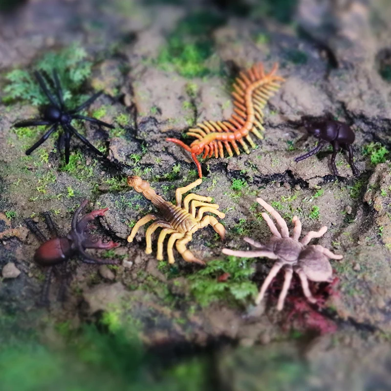 Oenux Insekt Tiere Modell Set Schmetterling Libelle Biene Käfer Spinne Skorpion Mantis Zikade Eidechse Garten Miniatur Kind Spielzeug Geschenk – Detail 24