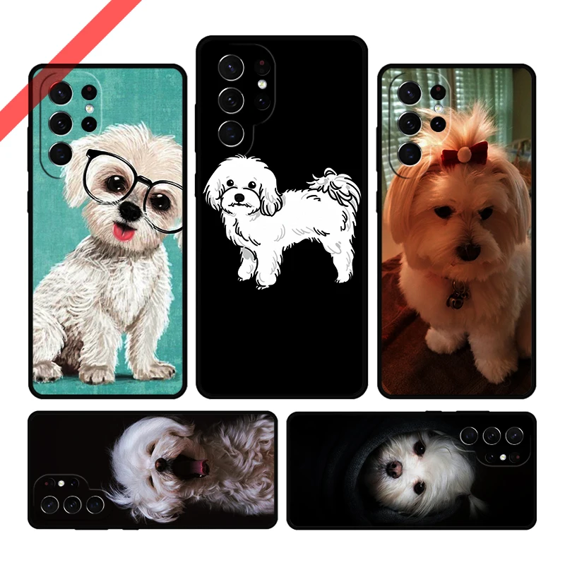 Maltese Dog Puppy Phone Case For Samsung Galaxy S20 FE S21 S10 S23 Plus S24 S22 Ultra Coque Note20 Note10 S9 S8 Cover Capa