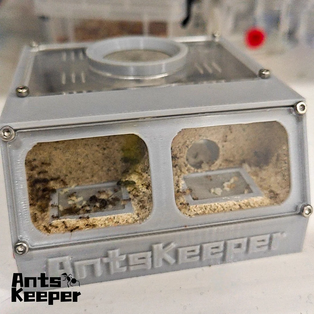 【Big Bus】Ants Keeper's Farm for Ants New Queen and Small or Middle Colony Ant House Farm Gift for Beginnier and Starter