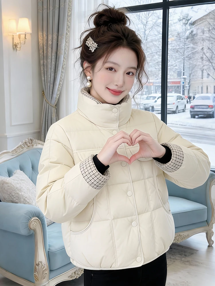 

Корейская зимняя женская куртка-пуховик больших размеров из хлопка, утепленная, на молнии, для повседневной носки, с длинными рукавами
