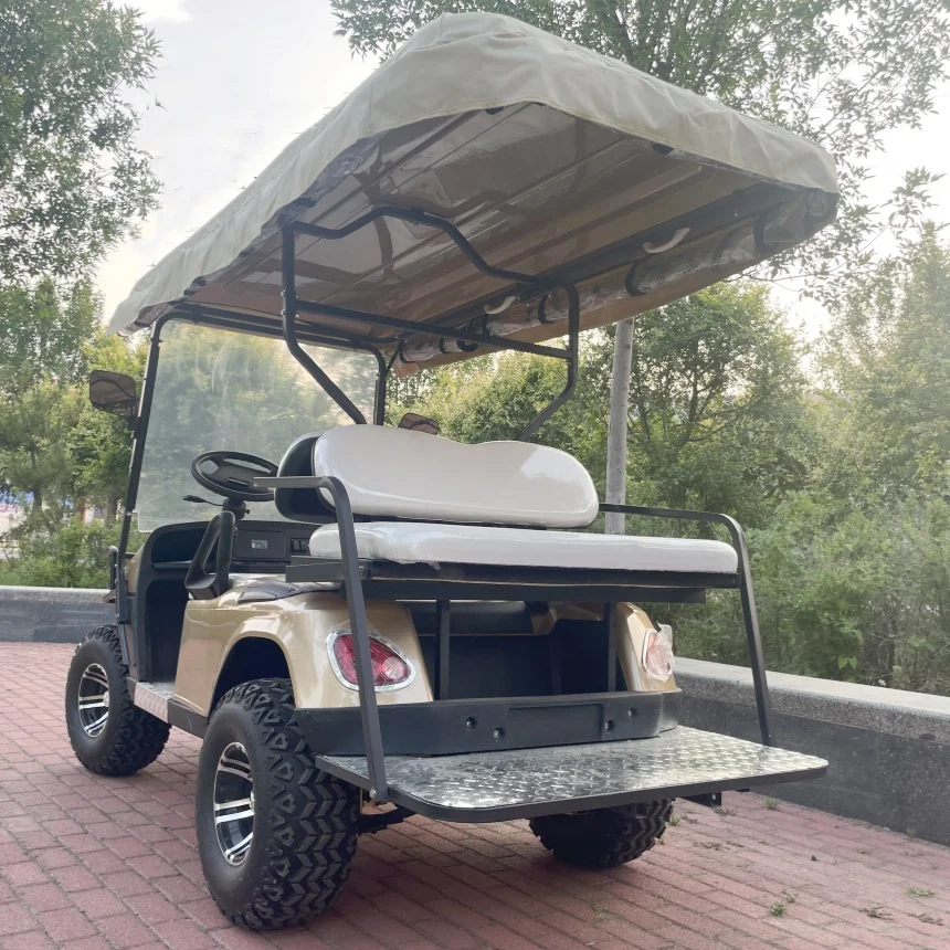 4 wheelers adult cheapFree Custom Color 7000W Powerful Motor Golf trolleys Electric Stable Quality Long Durability Golf Cart