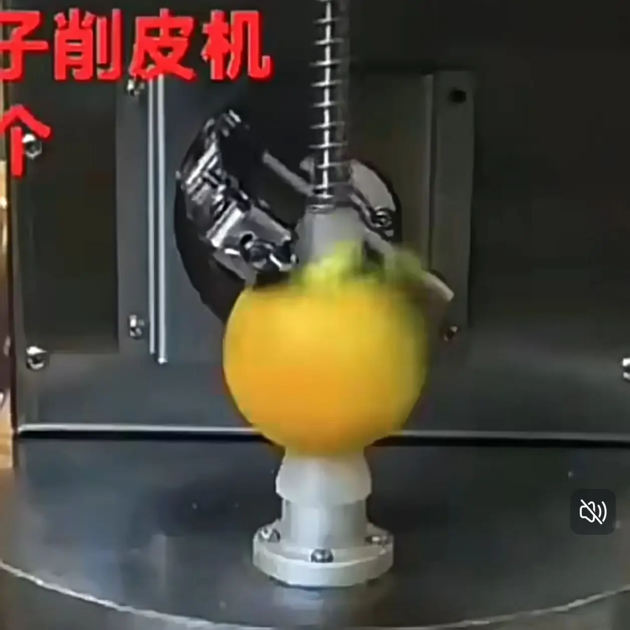 

Commercial Peeler Fully Automatic Fruit Peeling Machine for Orange Tangerine Pear-110V/220V Electric