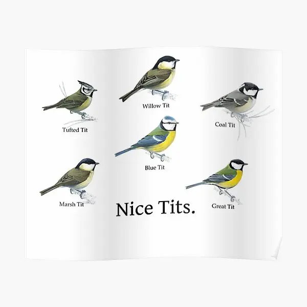 Nice Tits Birdwatcher Shirt  Poster Vintage Painting Mural Funny Room Picture Home Print Art Decoration Wall Modern No Frame