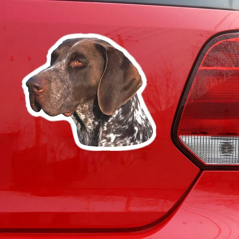 Car Sticker Various Sizes Decal German Shorthaired Pointer Car Sticker Waterproof on Bumper Rear Window Laptop Refrigerator