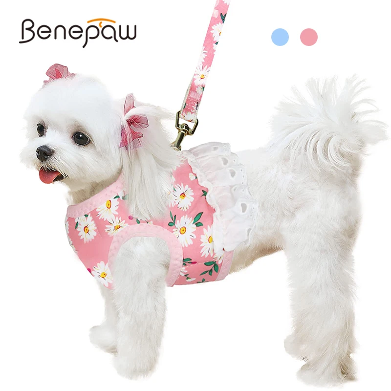 Benepaw Cute Dog Harness Leash Set Lightweight Breathable Lace Air Mesh Floral Puppy Harness For Medium Small Dogs Easy On/Off