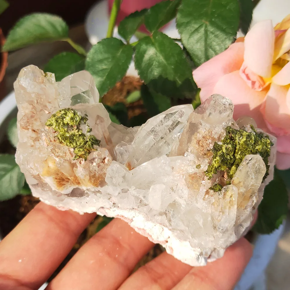 

211g Natural Clear Crystal Cluster Symbiosis With Green Tourmaline Quartz Vug Gemstone Flower Reiki Healing