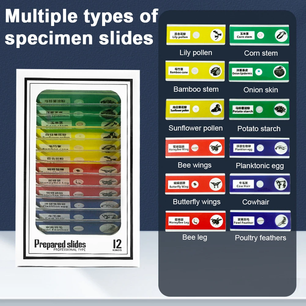 어린이 과학 실험 포켓 현미경 교육 미니 휴대용 현미경 LED 빛 60-120x 야외 어린이 장난감 선물