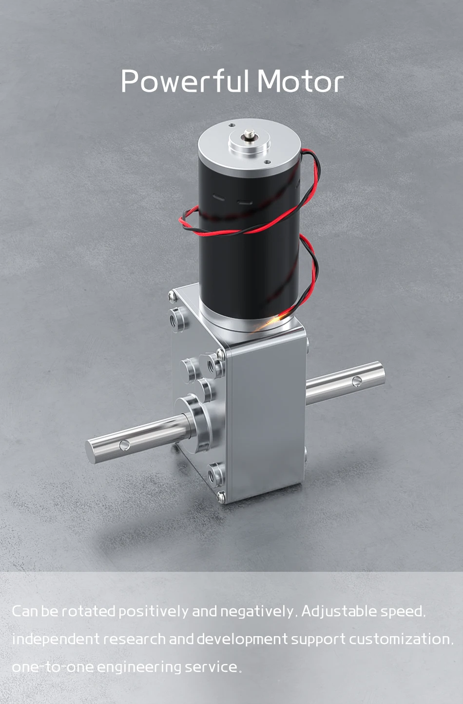 Bringsmart 12V Doppelwellen-Gleichstrommotor mit Schneckengetriebe, hohes Drehmoment 70KG.CM, 24 Volt Motor mit D-Welle, Schneckenreduzierer, reversierbar – Detail 12