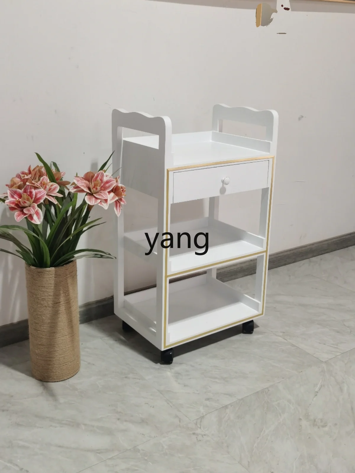 Yjq Beauty Salon Special Tool Trolley Small Bubble Trolley Storage Rack Instrument Barber Shop