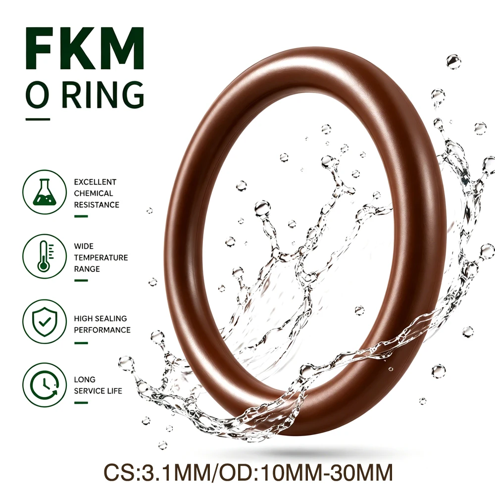 10Pcs FKM O-Ring CS 3.1mm OD 10~30mm Acid alkali/high temperature/oil and gas circuit special sealing rubber ring