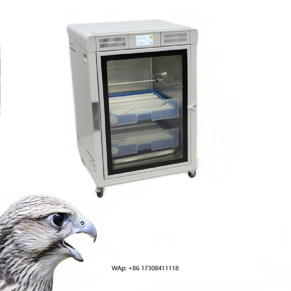 

Hot Selling Bird Incubator Incubator Automatic Macaw Egg Incubator Bird Egg for Sale