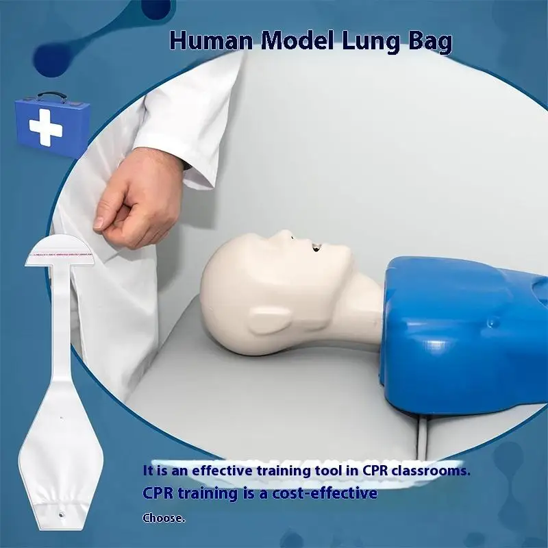 

Disposable CPR Adult Manikin Lung Bags Compatible With Professional Manikin Ideal Replacement Lung Bags For CPR Training Manikin