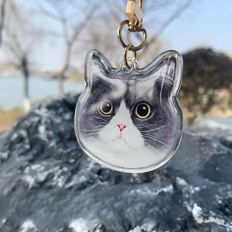 Customized Epoxy Acrylic Cat Pendant Cartoon Cute Pet Keychain DIY Photo Customization Double-sided Print Accessories Key Chain