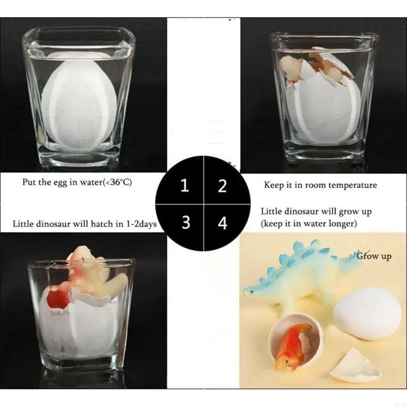 

Q22D Dinosaur Hatching Kits Egg for Children Grow in the Water Desk Decoration