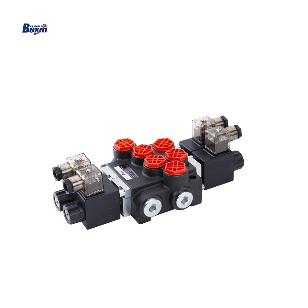 Chinese Factory P40 40Lpm 250bar Solenoid Hydraulic Valve 24V for Dump Truck