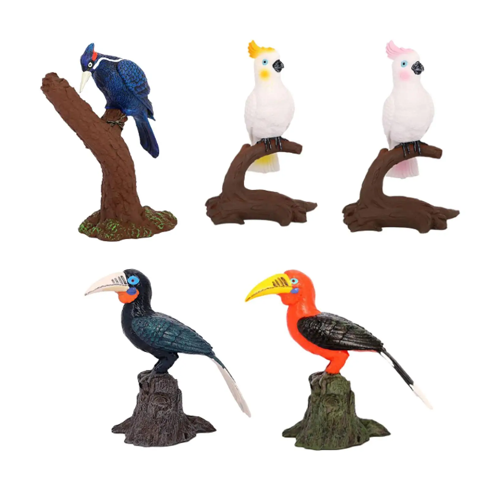 Modello di uccello Figura Giocattolo educativo da collezione Accento Statua di uccello realistica