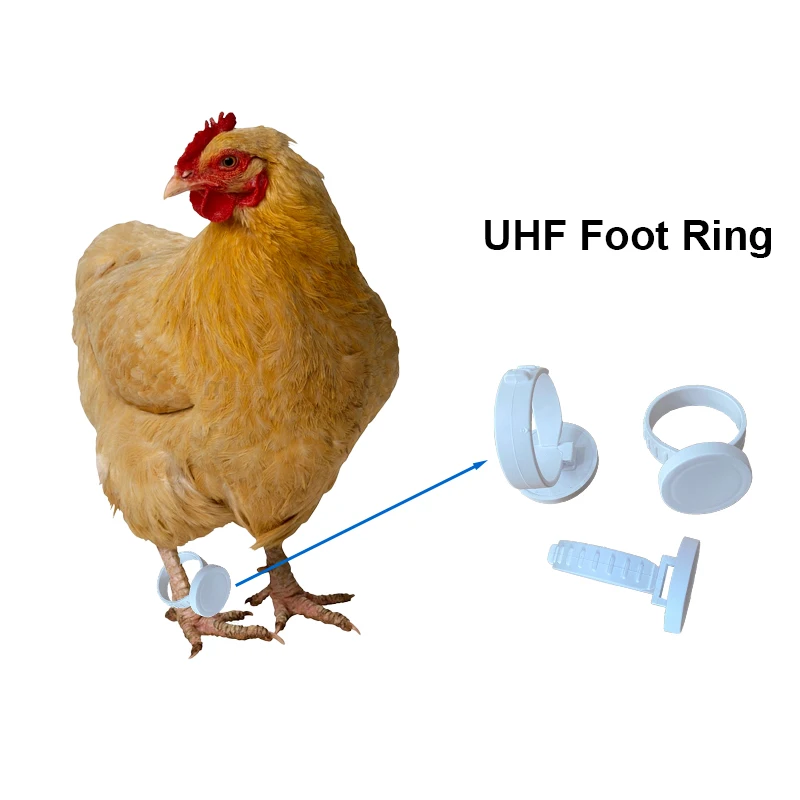 920-925MHZ/865-868MHZ rewrite UHF RFID Electronic Tag adjustable Animal Leg Chicken Foot Ring for Poultry Breeding Management