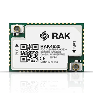 RAK4630 NRF52840 SX1262 Module voor LoRaWAN
