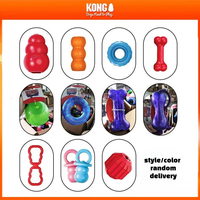 KONG Surprise Box Dog Toy Size L/XL Random Delivery