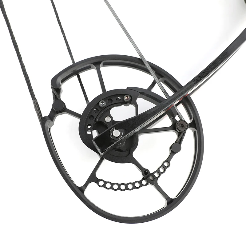 Dual-use Compound Bow CNC Cam 40-65lbs Adjustable Gordon Bow Limb Shooting Steel Ball Target Arrow Hunting Archery Let off 80%