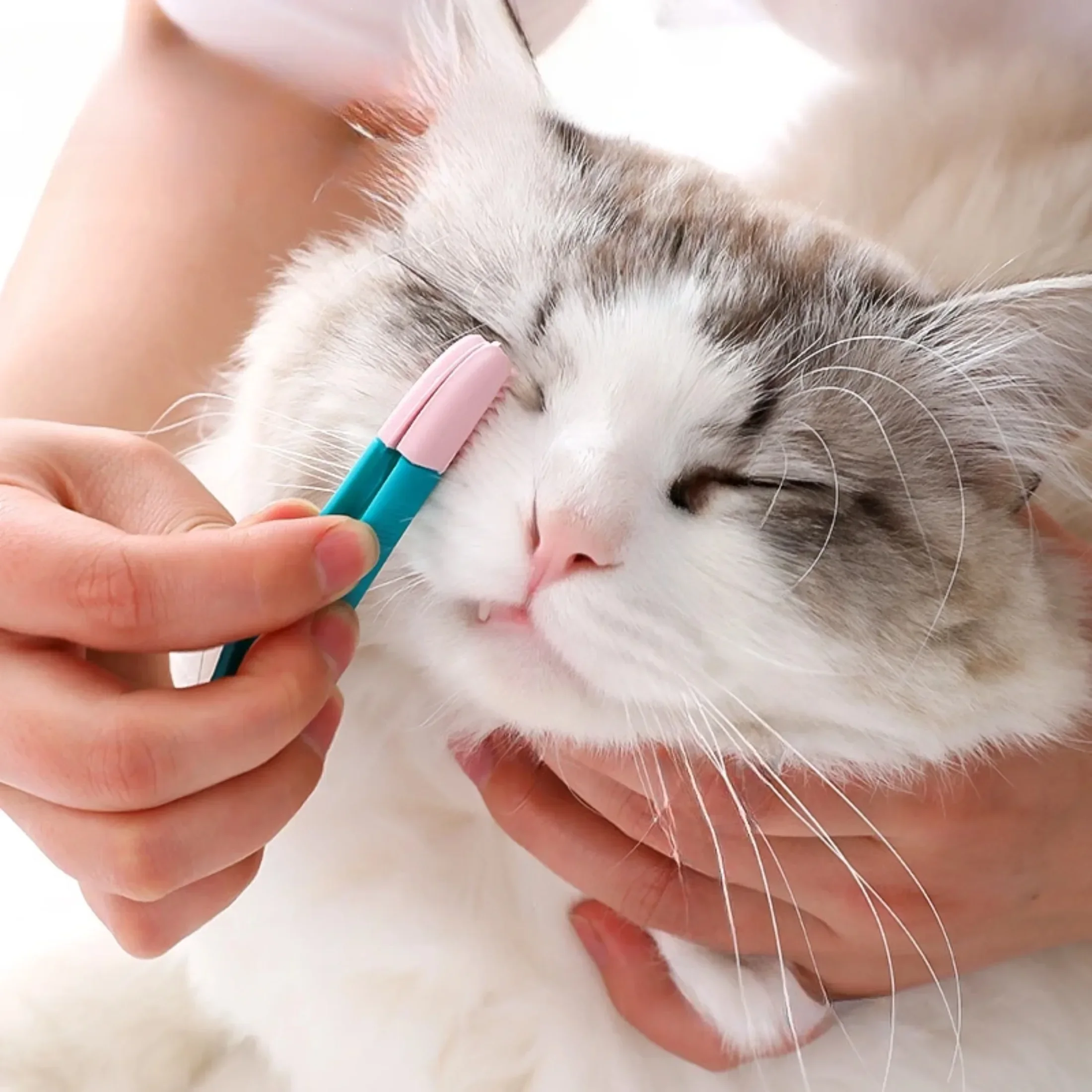 Escova de limpeza de olhos para animais de estimação, pente removedor de manchas, escovas de limpeza para cães e gatos pequenos, produtos de limpeza de lenços umedecidos para animais de estimação