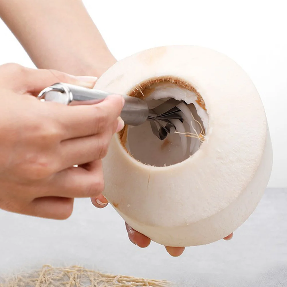 

1Set Coconuts Opening Kit Stainless Steel Coconut Opener Tool for Home Kitchen Multi-Functional Fruit and Fish Scale Remover