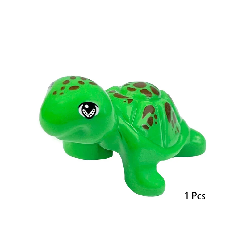 tortoise