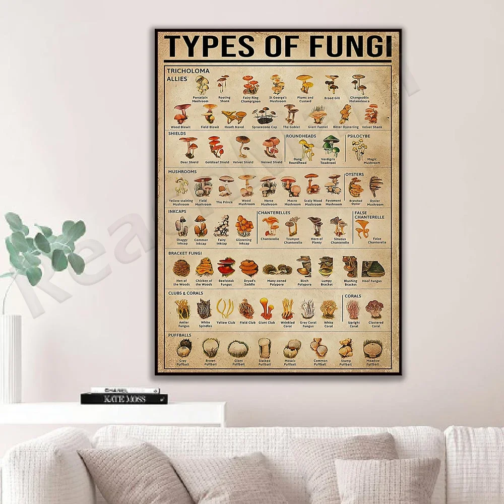 Fungi Poster Types, Plant Knowledge Poster Garden Decor, Wall Home Decor, Vintage Mushroom Poster Mushroom Print