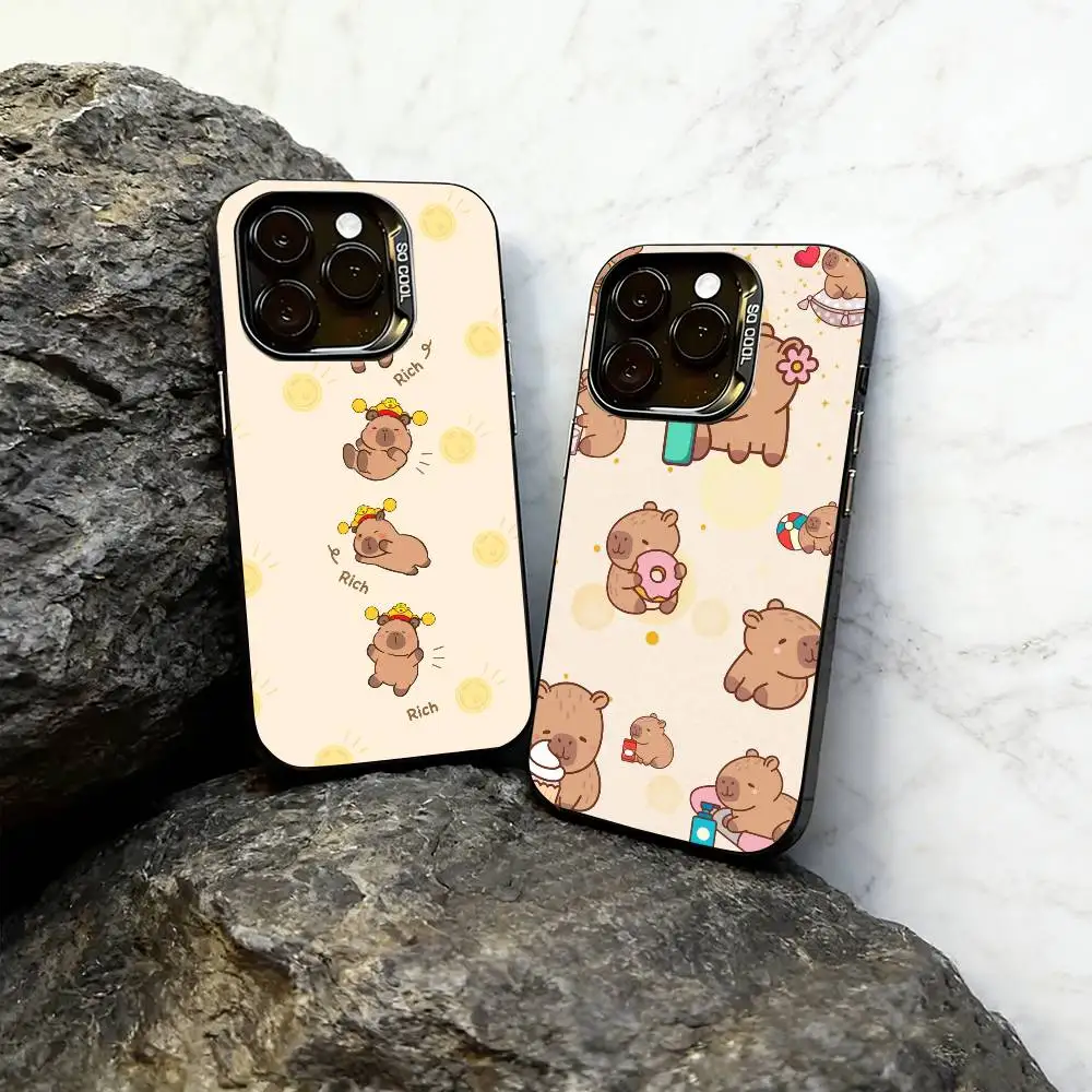 

Capybara Illustration Phone Case For iPhone 17,16,15,14,13,12,11 Plus,Pro Max,XS,Colorful Silver Black Cover