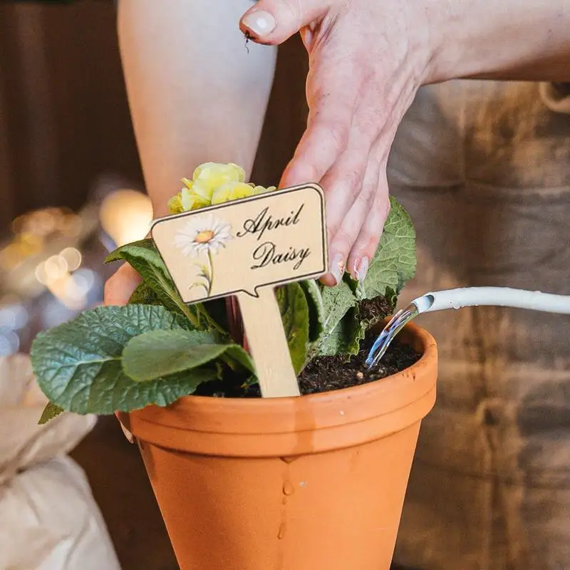 Pennarelli da giardino per piante Etichette per piante in legno per esterni per giardino esterno Pali con nome riutilizzabili per verdure Frutta Fiori