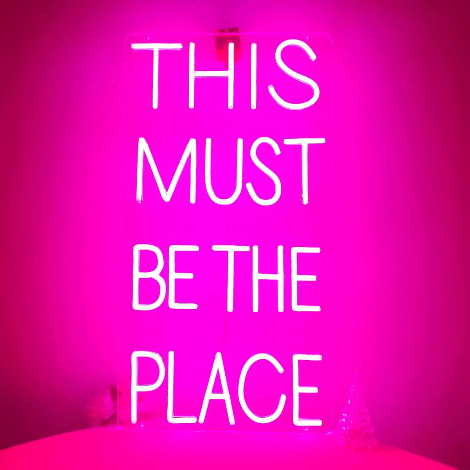 LED Neon Sign This Must Be The Place Neon Light for Gaming Room Bedroom Bar Christmas Party Home Decor Xmas Gift USB Powered view 5
