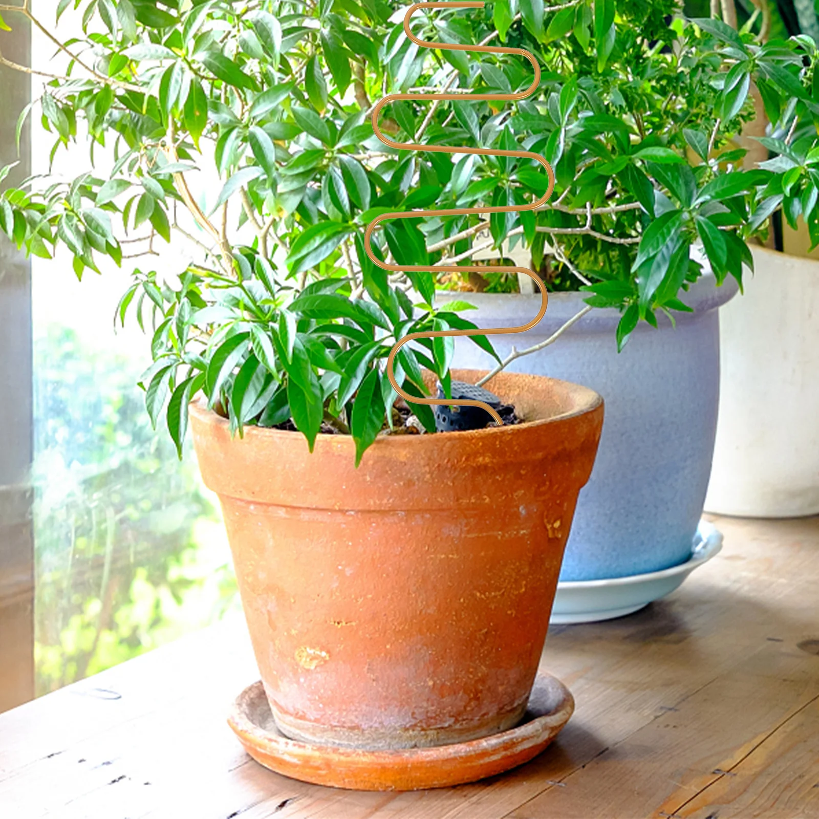 

Metal Stake for Mini Potted Plants Indoor Outdoor Small Trellis Support for Climbing Plants Monstera Pothos Houseplant Decor