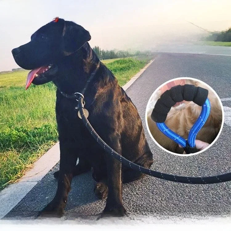 Correa para Perro Reforzada, Cadena para Perro Grande, Correa para Golden Retriever, Labrador, Alaskan Malamute, Cuerda para ...
