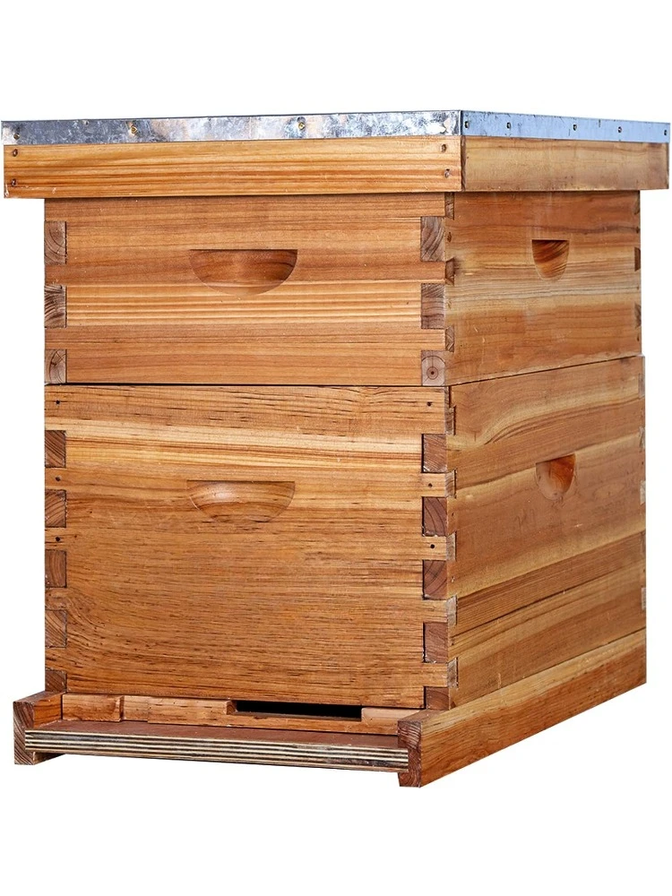 

Complete Beehive Kit 100% Beeswax Coated Bee Hive Includes Beehive Frames and Beeswax Coated Foundation Sheet (2 Layer)