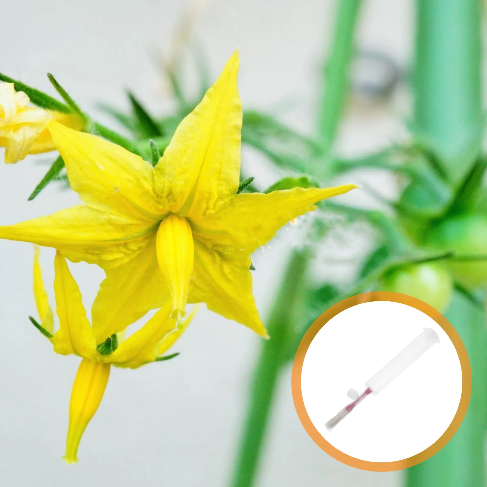 Tomato Pollination Tool Manual Powder Duster Vegetable Pollinator Handheld Garden Supplies for Fruit Vegetable Pollination