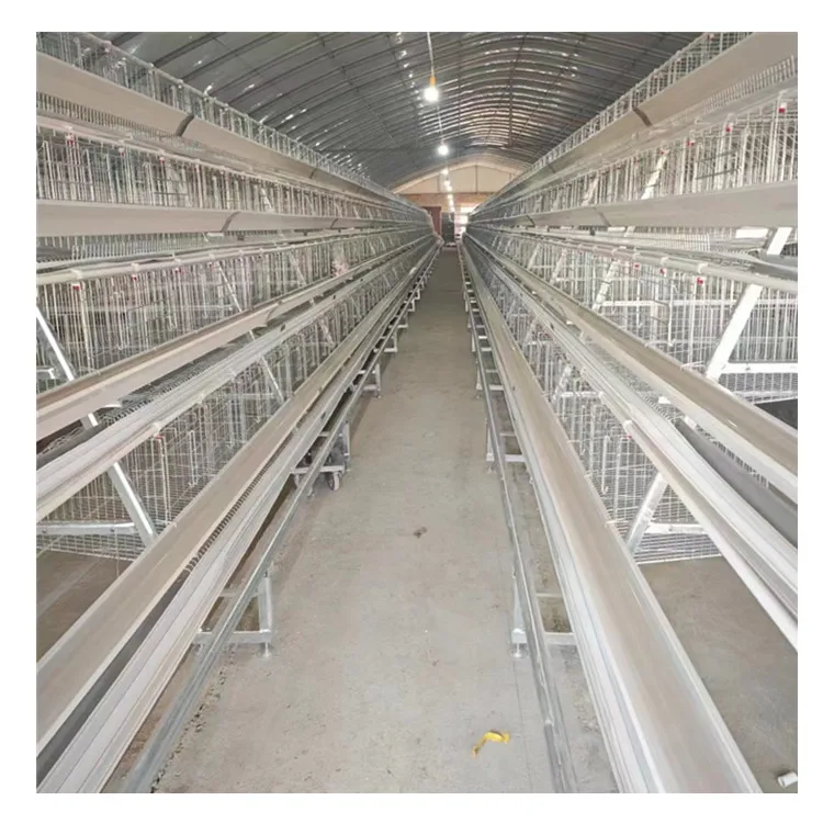 

10000 Layer Chickens Farm Bird Automatic Poultry Farming Steel Battery Cage