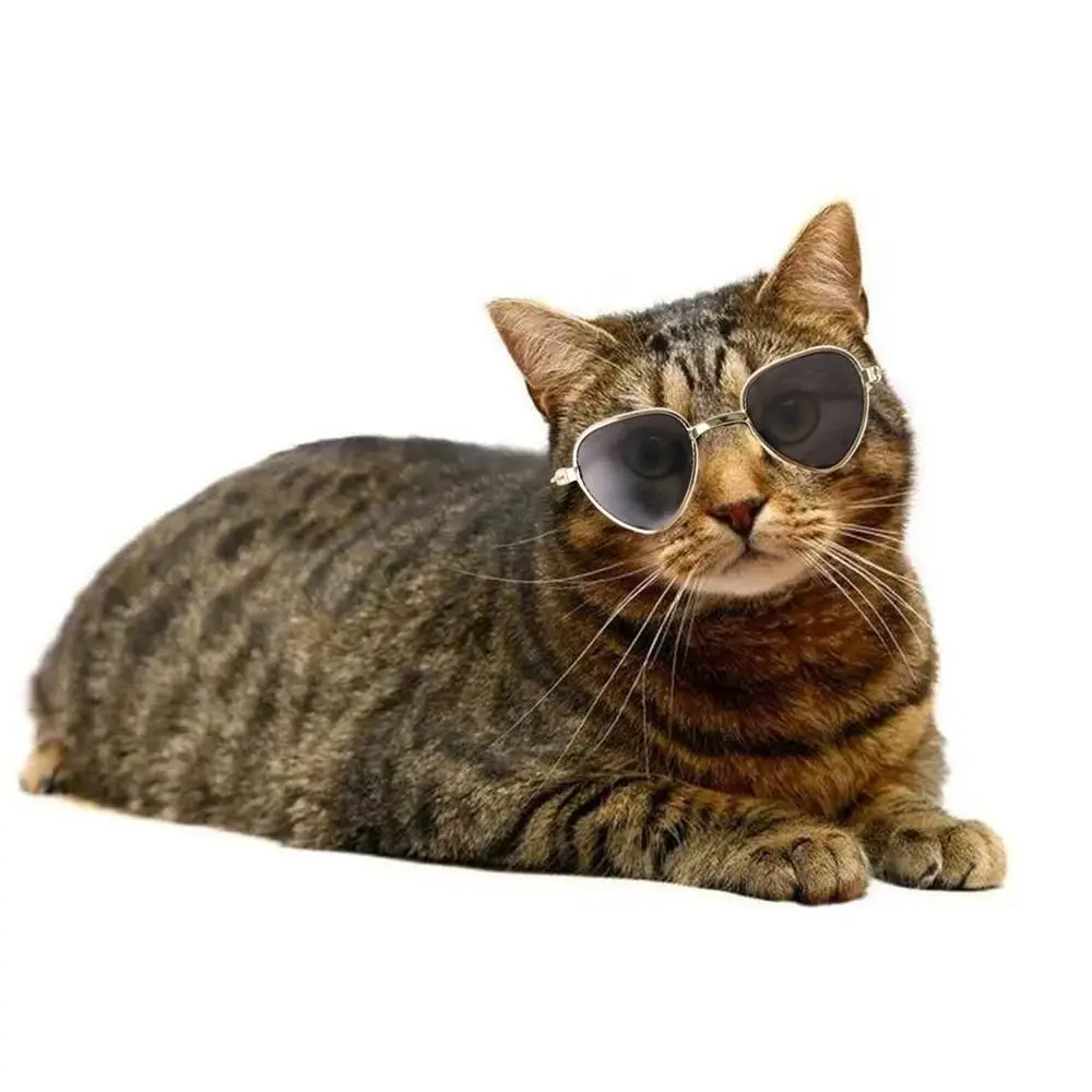 Lovely Cats Eye Wear Fashion Reflection Pet Accessoires Pet Products Photos Props Pet Glasses Cat Dog Sunglasses