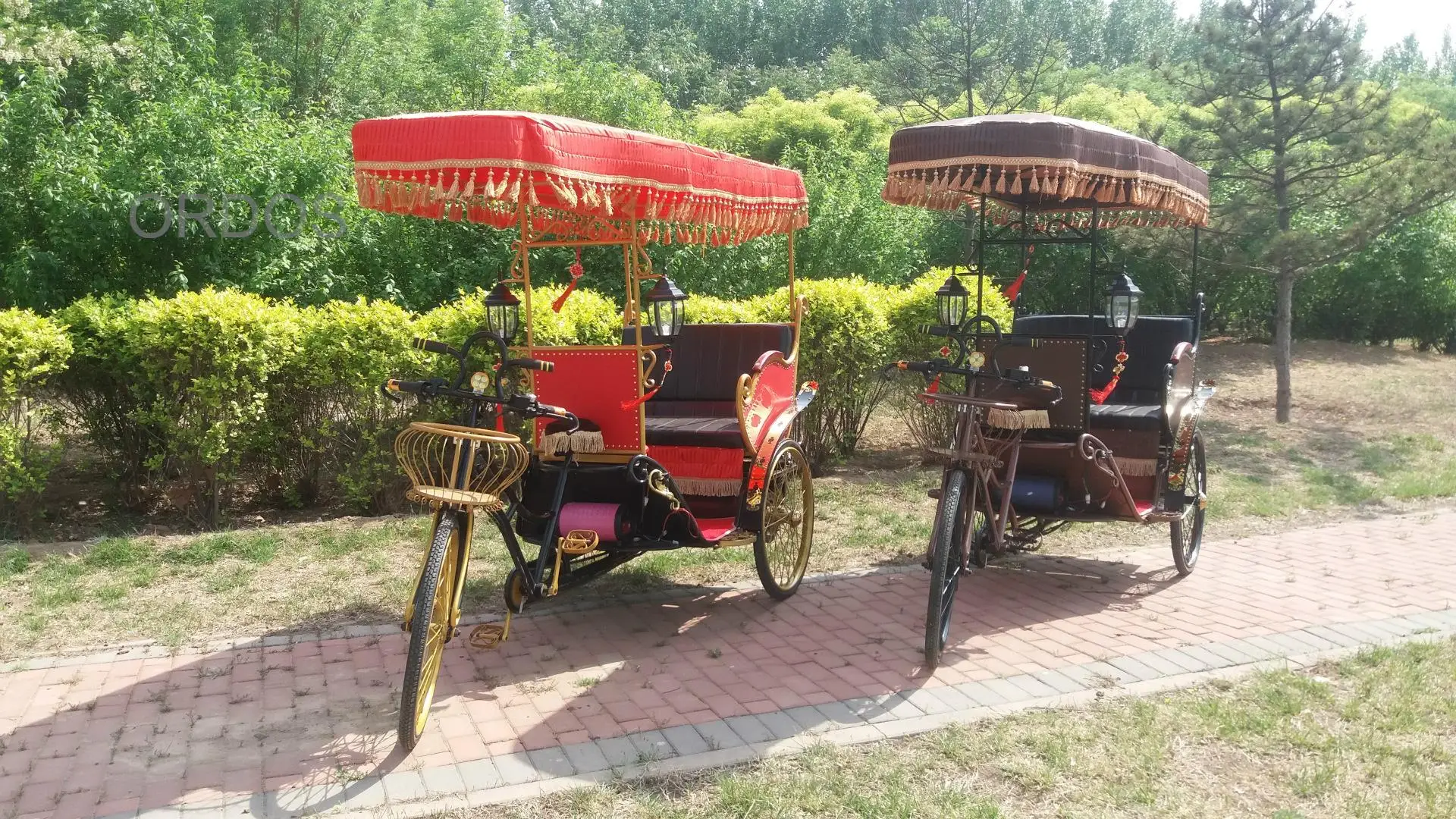 City tour electric tuk tuk pedicab rickshaw tours for passenger High Quality Royal Prince Carriage Royal Horse Carriage