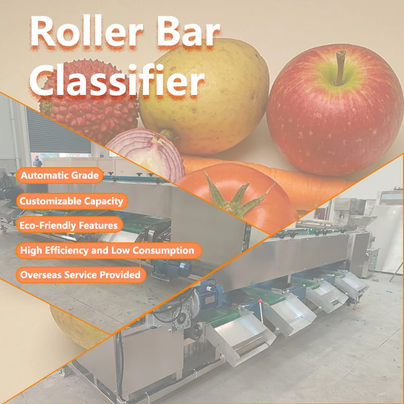 Stainless Steel Fruit Size Sorting Machine Litchi  Orange Grading Machine Roller Type Fruit Sorting Equipment