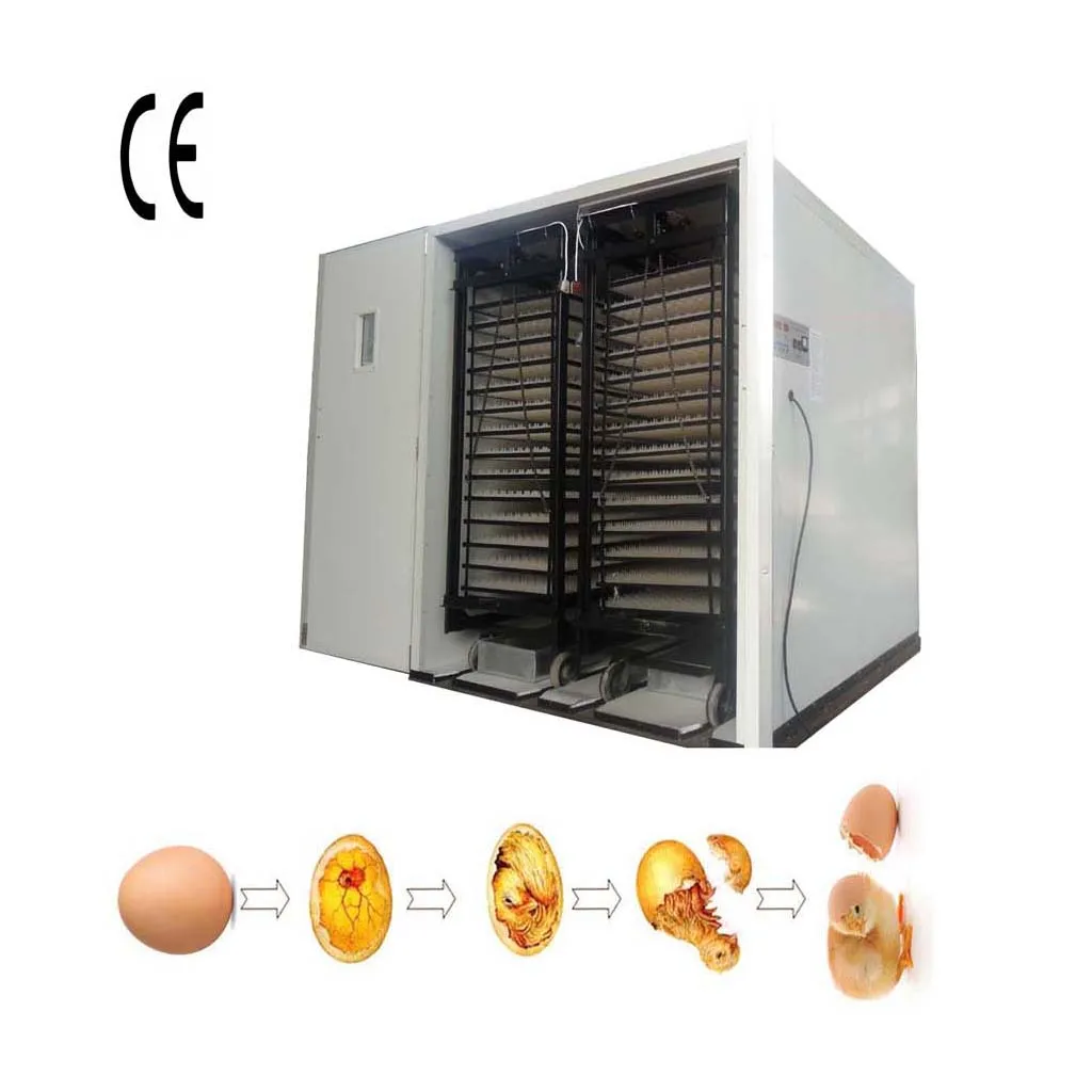 Fully Automatic Setting 12000 Chicken Egg Incubator Machine HJ-I21 view 3
