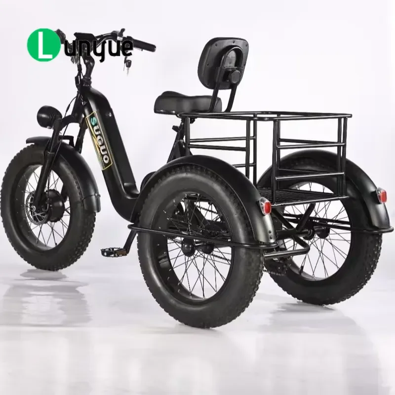 48V Electric Tricycle 20 Inch Wide Tire Snow Pedal Power Built-in Lithium Battery Long Life Front Hub Motor E-bike for Adults