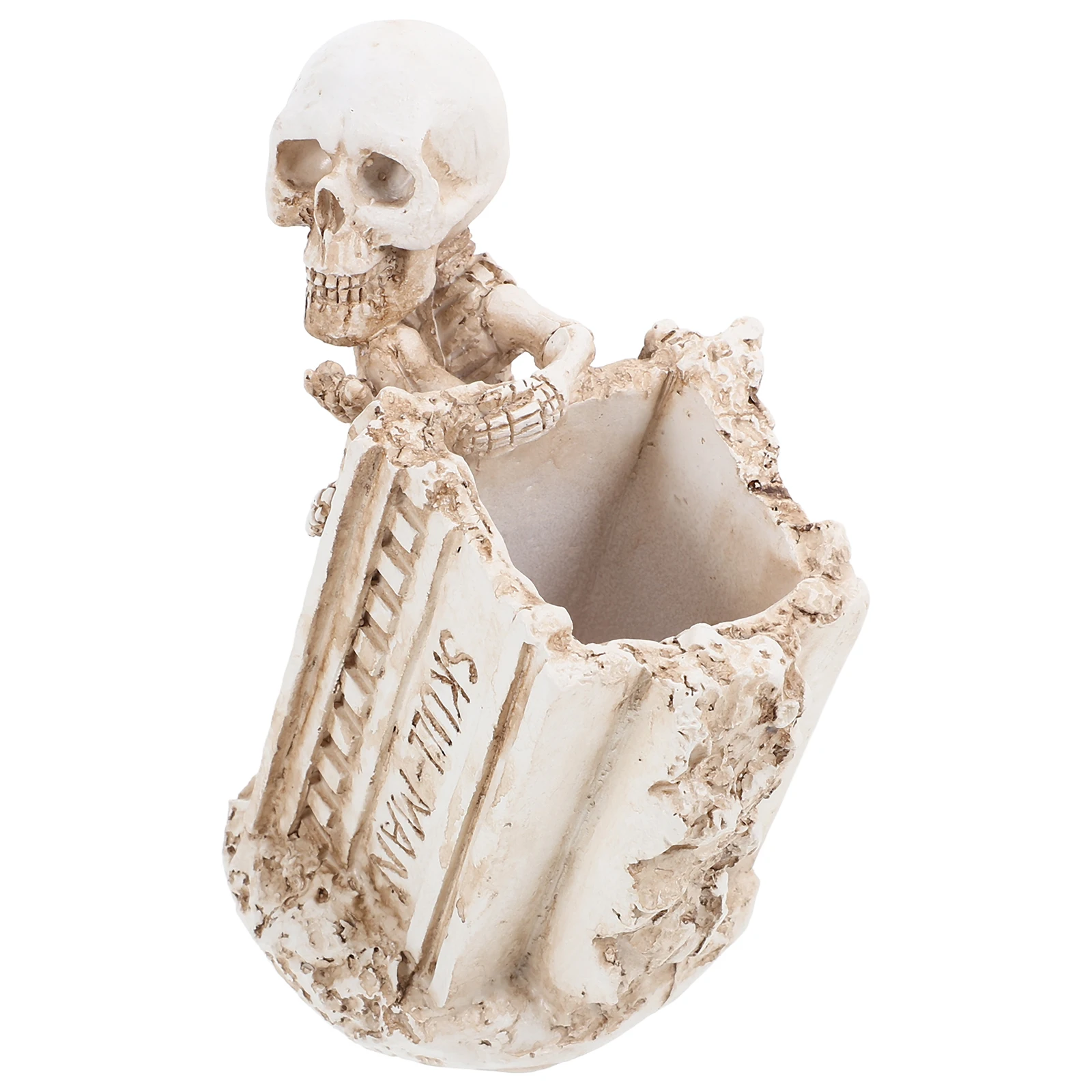 

Skull Pen Holder Desk Plant Artificial Ornaments Goth Decor Office Supplies Creative Resin Accessories Faux Succulents